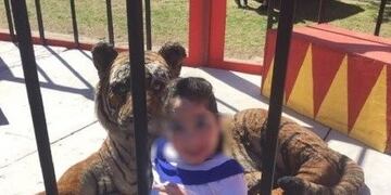 Maltrato animal en un circo de Rosario\u002E (Archivo)