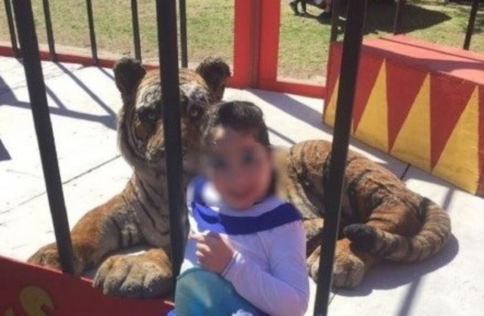 El organizador del circo denunciado: "Fue un hecho irrisorio, lo tomamos con humor"