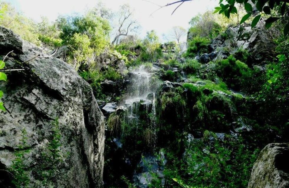 La reserva 'Los Quebrachitos' tiene nueva guardaparque