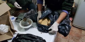El procedimiento fue realizado por la División Antidrogas de Gendarmería\u002E (@minseg)
