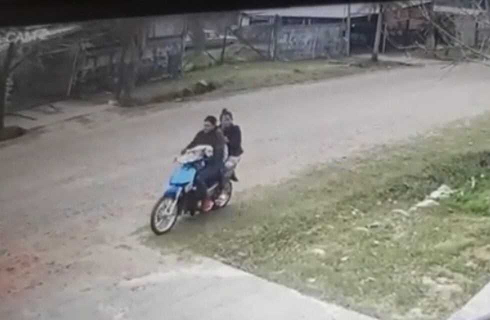 Robaron un perro labrador de 3 meses del portón de una casa