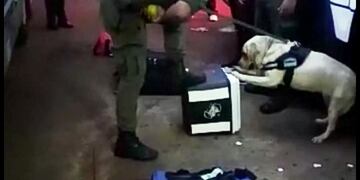 Detenido en Terminal de Posadas\u002E