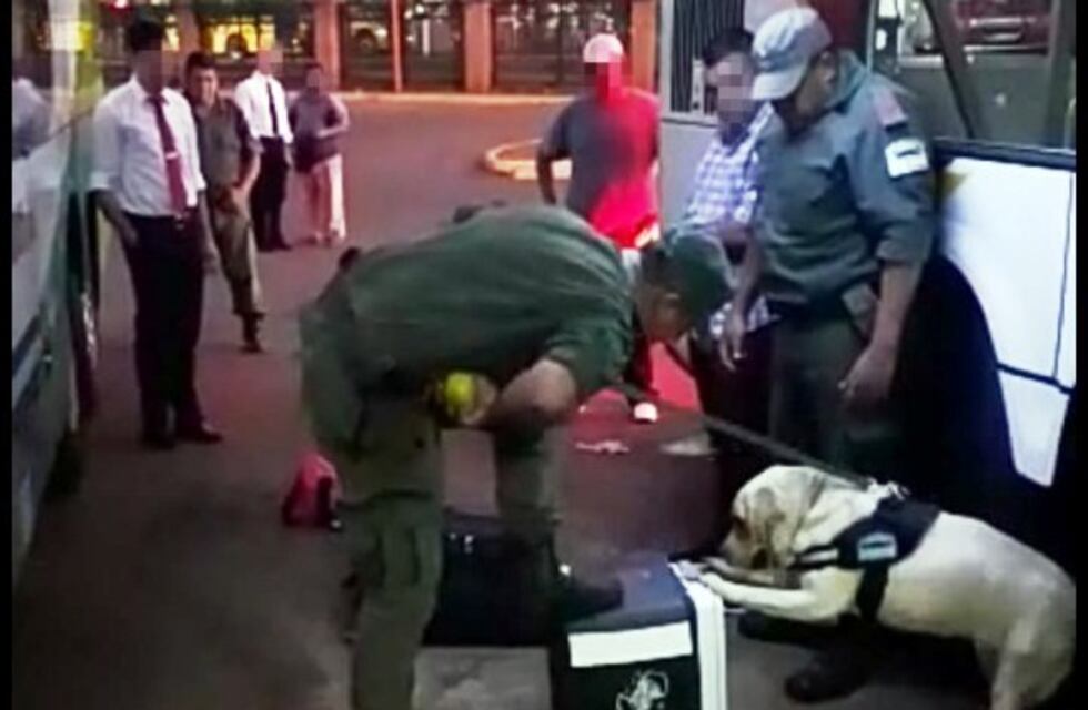 Detuvieron a un pasajero de colectivo por llevar marihuana incrustada en una conservadora