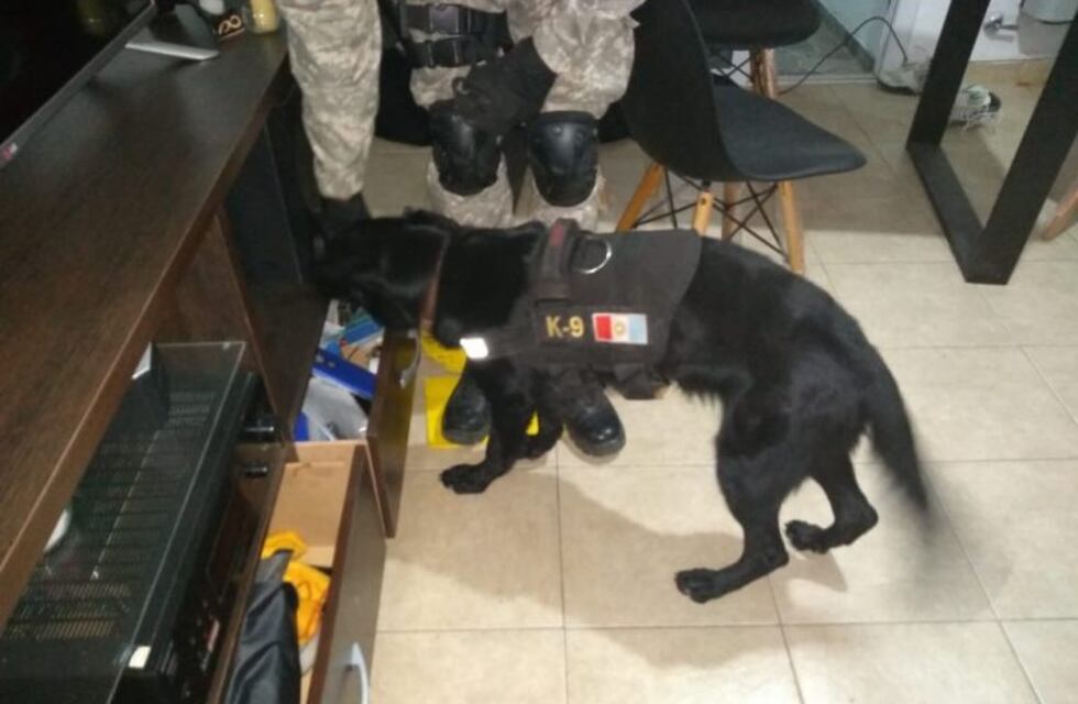 Marcos Juárez: recuperó sus dólares gracias a los canes detectores de divisas