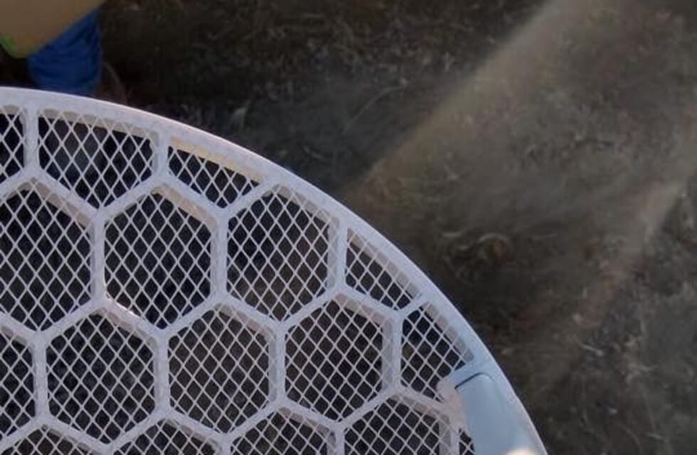 Vandalismo sin sentido