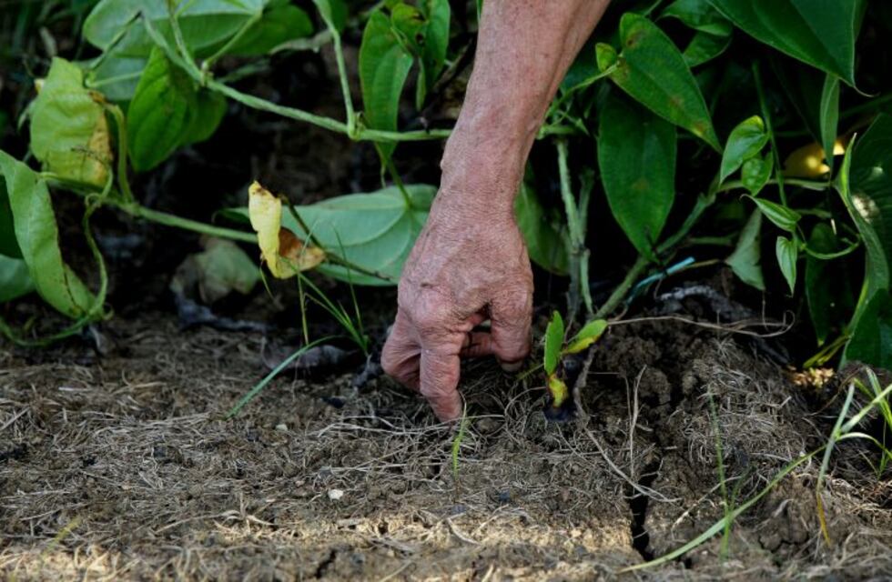 Detectan a 60 trabajadores rurales santafesinos en condiciones muy precarias