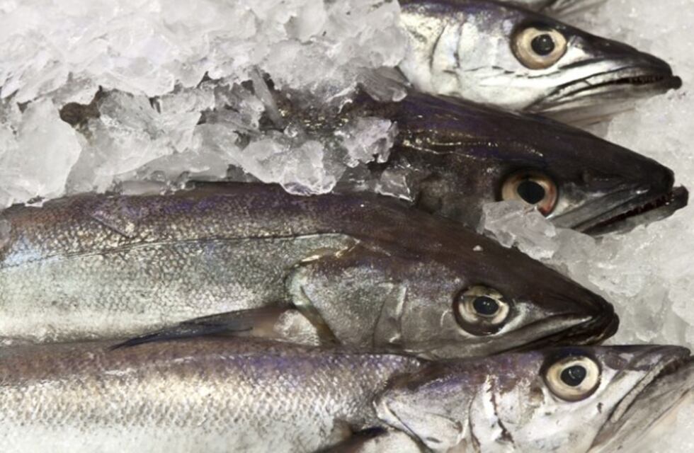 El insólito castigo de un jefe en China:  obligó a sus empleados a comer pescado crudo y beber sangre de pollo