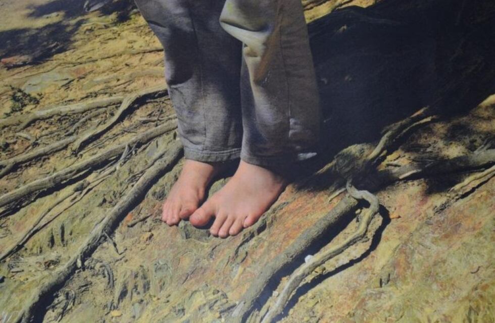 La escuela Provincial N° 40 María Elena Walsh, presentó la muestra fotográfica "Sentidos"