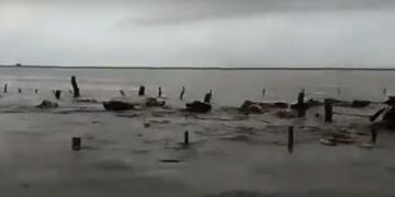 Las vacas escapan nadando de morir ahogados en medio de la inundación\u002E La escena se registró en Gato Colorado\u002E (Captura de pantalla)