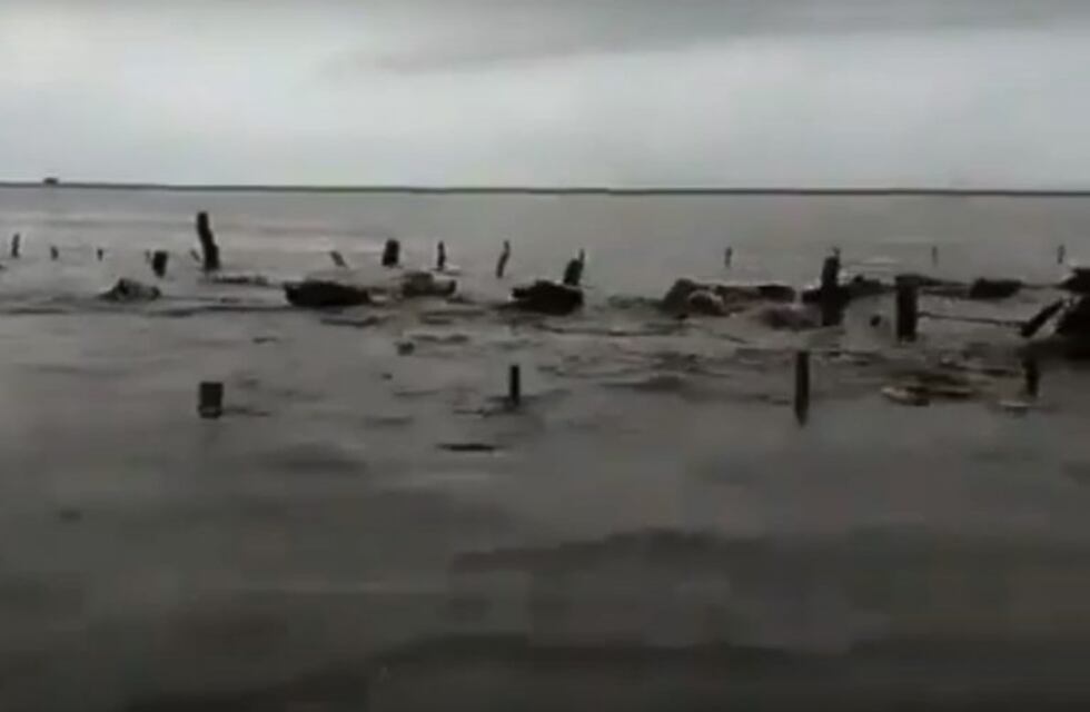 El dramático video de las vacas que escapan nadando para evitar ahogarse en el norte santafesino