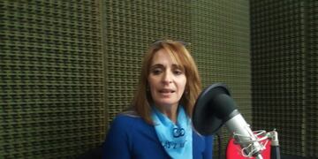 Diputada pide que se solucione el problema de energía en Bajo Caracoles