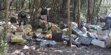 Incautaron más de tres toneladas de marihuana en Misiones\u002E (Foto: Misiones Online)