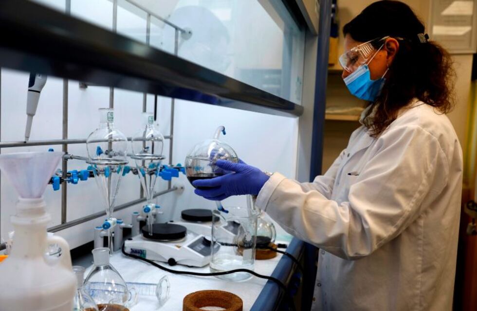 Coronavirus: descubren cómo se camufla el virus para entrar en las células sin encontrar resistencia