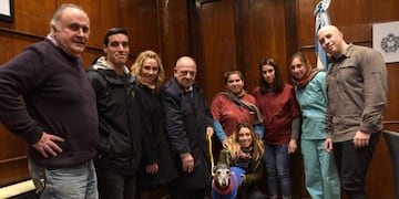 Municipalidad General Pueyrredon