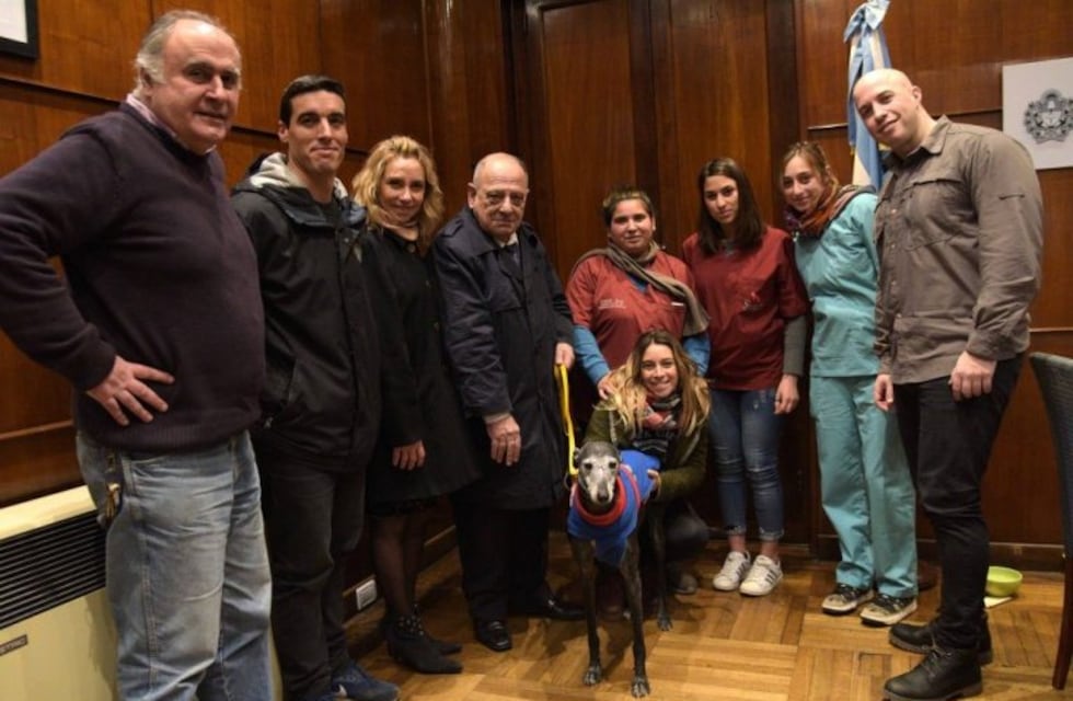 Para el intendente Carlos Arroyo los pitbull "no deberían estar en la calle"