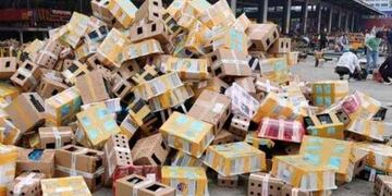 Encontraron 4 mil mascotas muertas y embaladas en un depósito de China (Foto: Utopía)