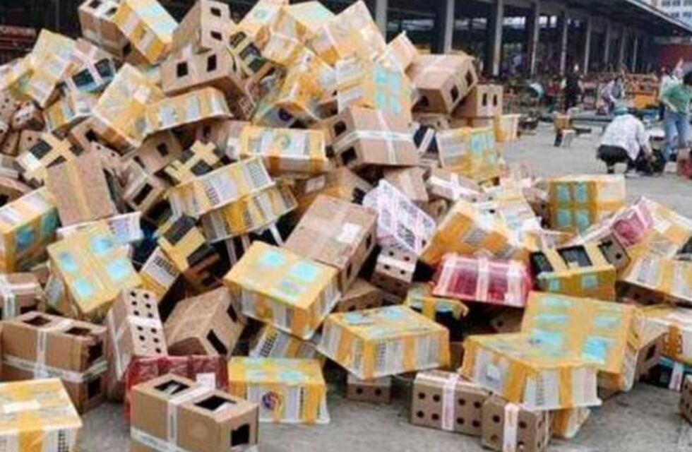 Encontraron 4 mil mascotas muertas y embaladas en un depósito de China