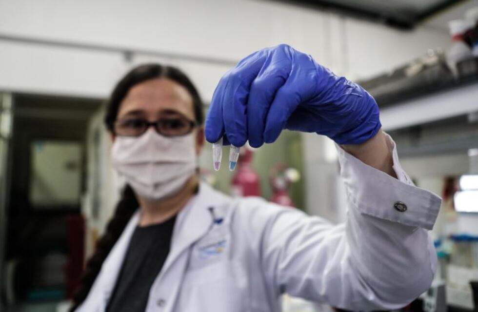 Senado: aprobaron el proyecto para aumentar el financiamiento para ciencia y tecnología