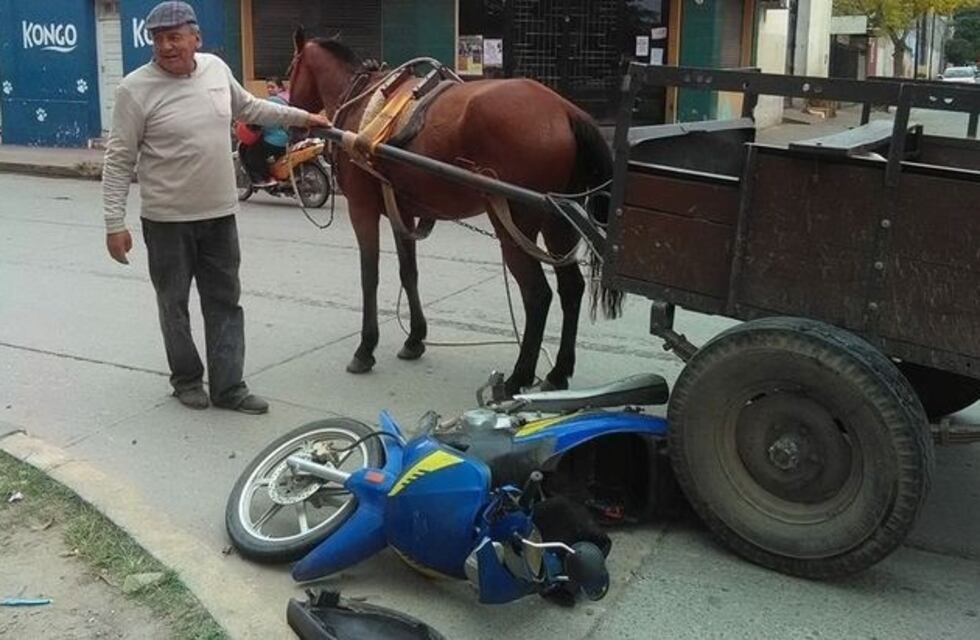 Un accidente vial activó la polémica por la tracción a sangre
