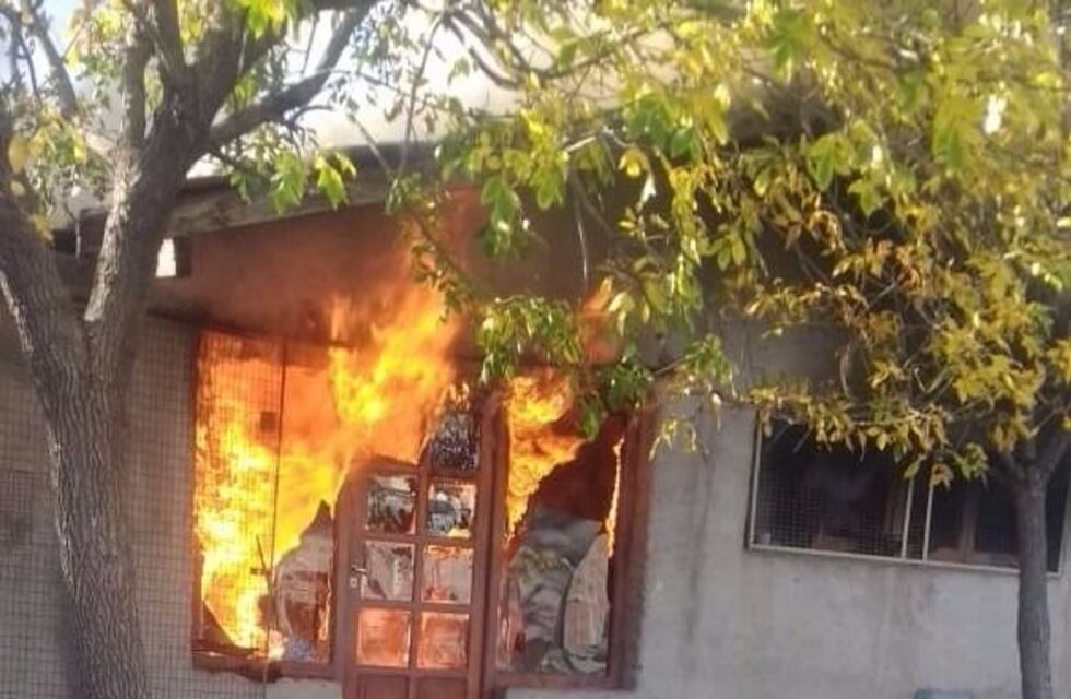 Prendió fuego su casa por espantar abejas con humo, está en grave estado