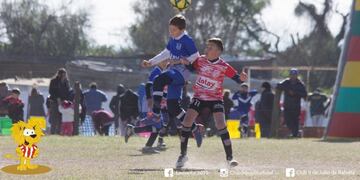 Leoncito 2019