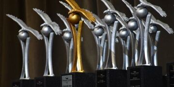 Se entregan los Premios Cóndor 2019 a deportistas cordobeses\u002E