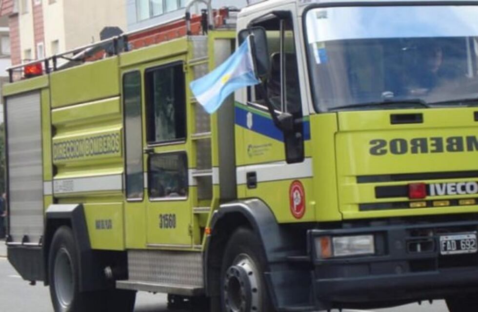 Bomberos de La Plata rescataron a una perrita ciega que se estaba ahogando en una zanja