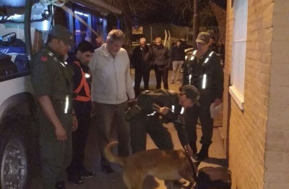 Un perro de Gendarmería detectó 16 kilos de cocaína ocultos en la bodega de un colectivo