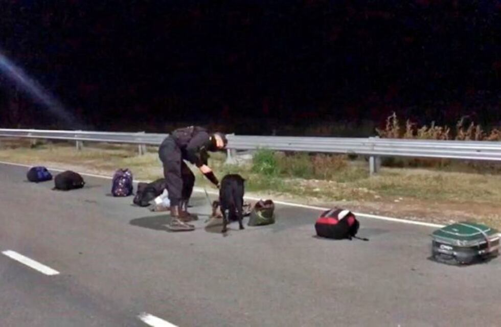 Encuentran cocaína en un ómnibus que hace el recorrido Santa Rosa General Pico