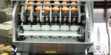 La construcciu00f3n comenzaru00eda entre enero y febrero de 2018 y se prevu00e9 que estu00e9 en funcionamiento en el 2019