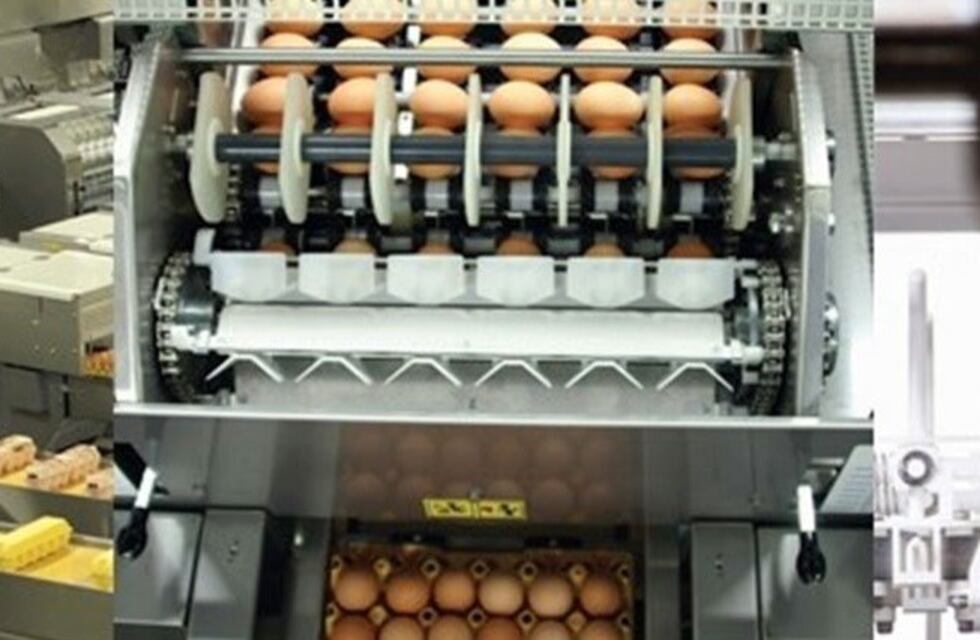 Ultiman detalles en el proyecto "Ovo Alvear"