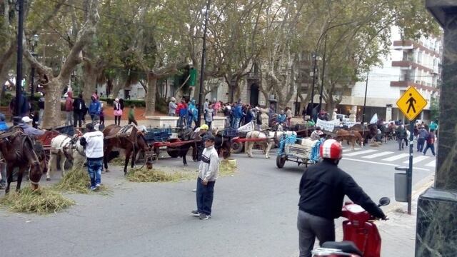 Los caballos estaban apostados frente al Palacio de los Leones y tambiu00e9n por Santa Fe.