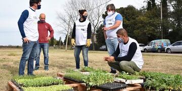 La Municipalidad lanzó un programa para que los vecinos aprendan a hacer su propia huerta (Municipalidad de La Plata)