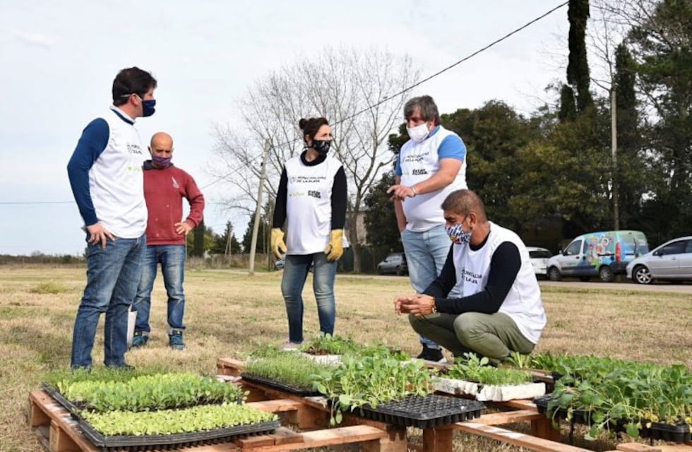 Impulsan la creación de huertas comunitarias en espacios públicos y frentes de viviendas en La Plata
