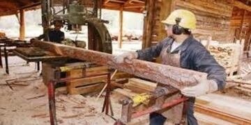 Aumentan salario de los madereros del Alto Paraná