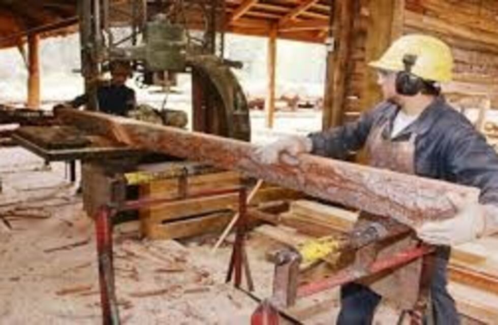 Se actualizan las escalas salariales para madereros del Alto Paraná