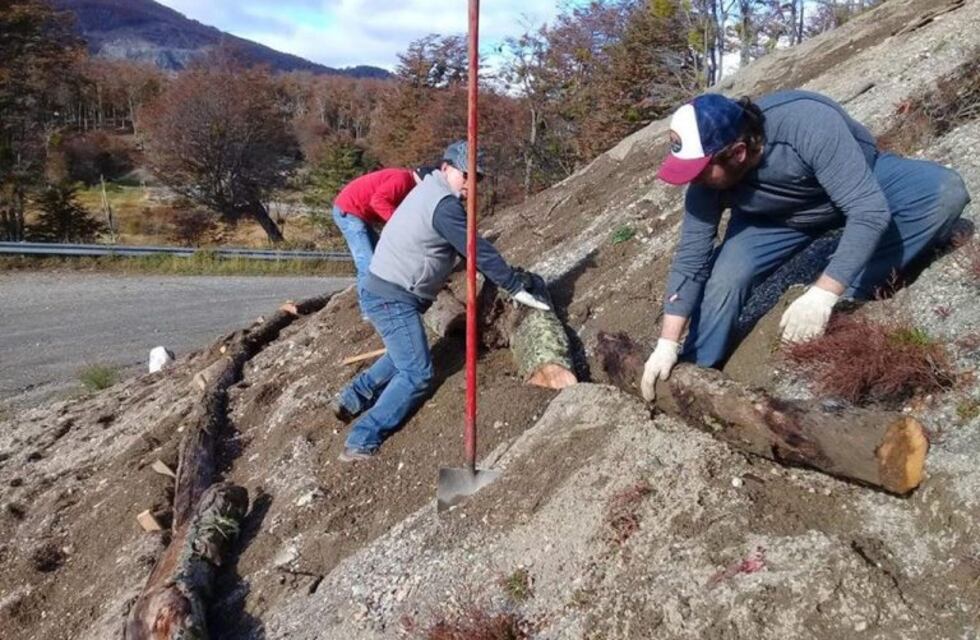 Restauración ambiental en la Reserva Provincial Río Valdéz