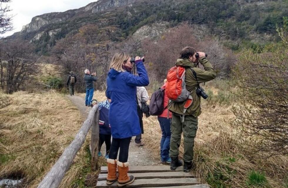 Tierra del Fuego se sumó a las actividades por el Día Mundial de Observación de Aves