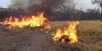 Multarán por más de $500 mil o 60 días de arresto a quien genere incendios en Chaco