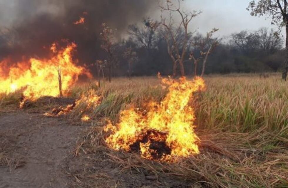 En 24 horas, se produjeron más de 2.400 focos de incendios en Chaco