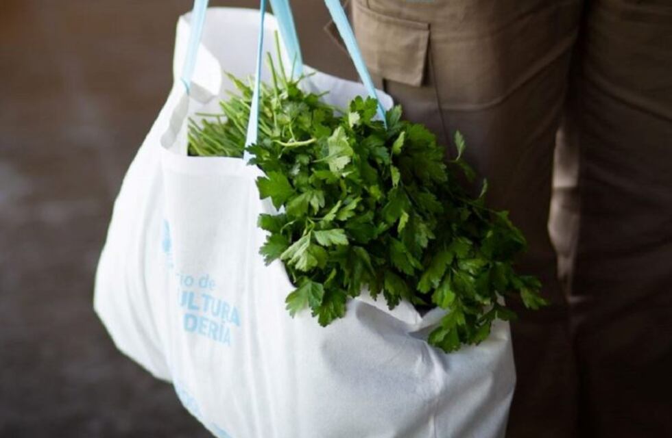 Este viernes, feria de agricultura familiar en la Universidad Provincial