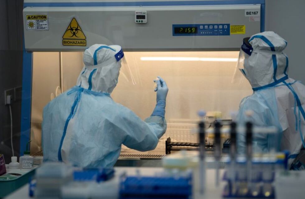 Coronavirus en Río Negro: confirmaron 56 nuevos casos