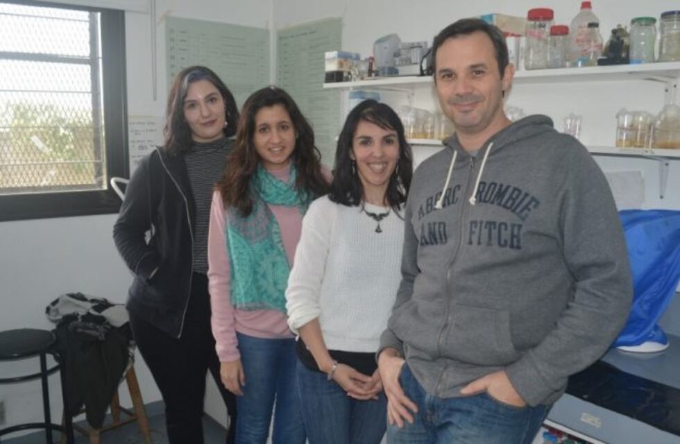 Investigadores del CONICET comprueban efectos del cannabis sobre el corazón