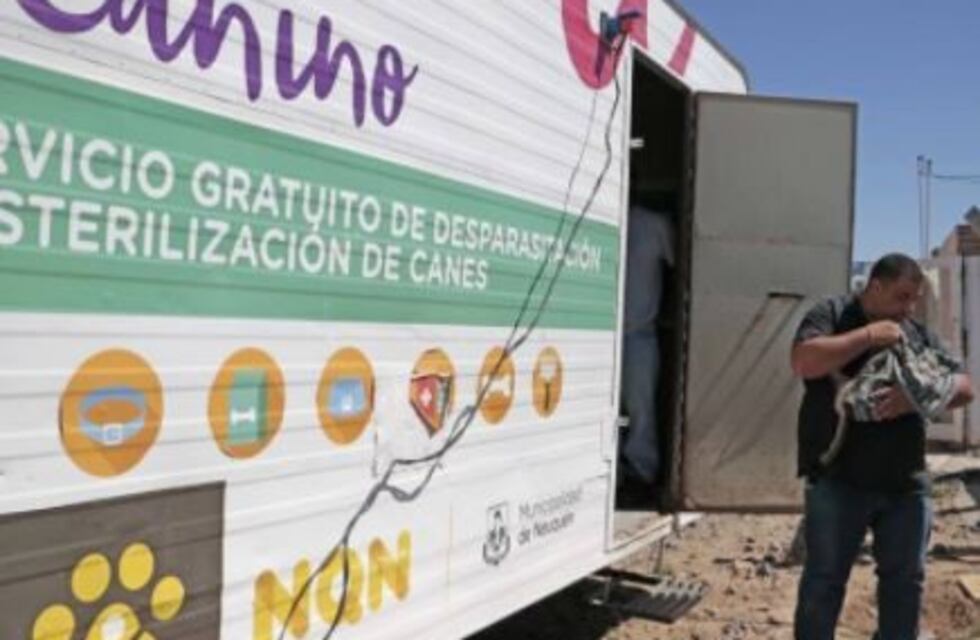 En un mes se castraron 240 mascotas en Colonia Nueva Esperanza