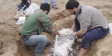 Científicos argentinos descubren restos fósiles que indican un periodo donde el mar presentó un gran crecida en el territorio de Buenos Aires\u002E