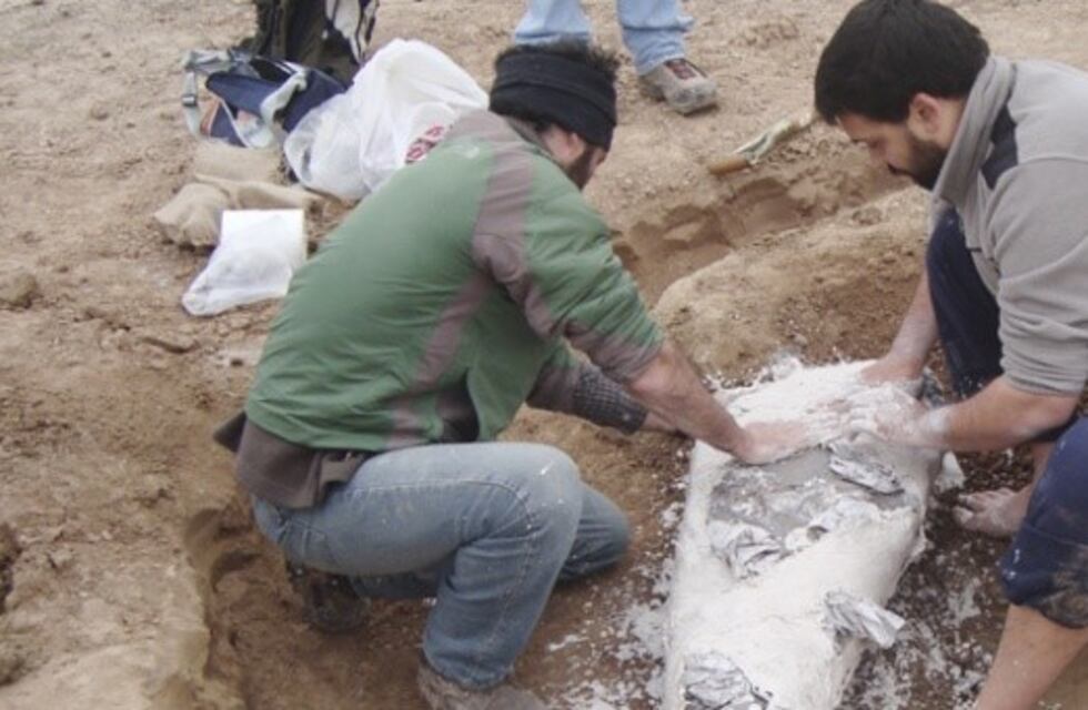 UNLP: descubren que Buenos Aires estuvo bajo el mar hace más de 70 mil años