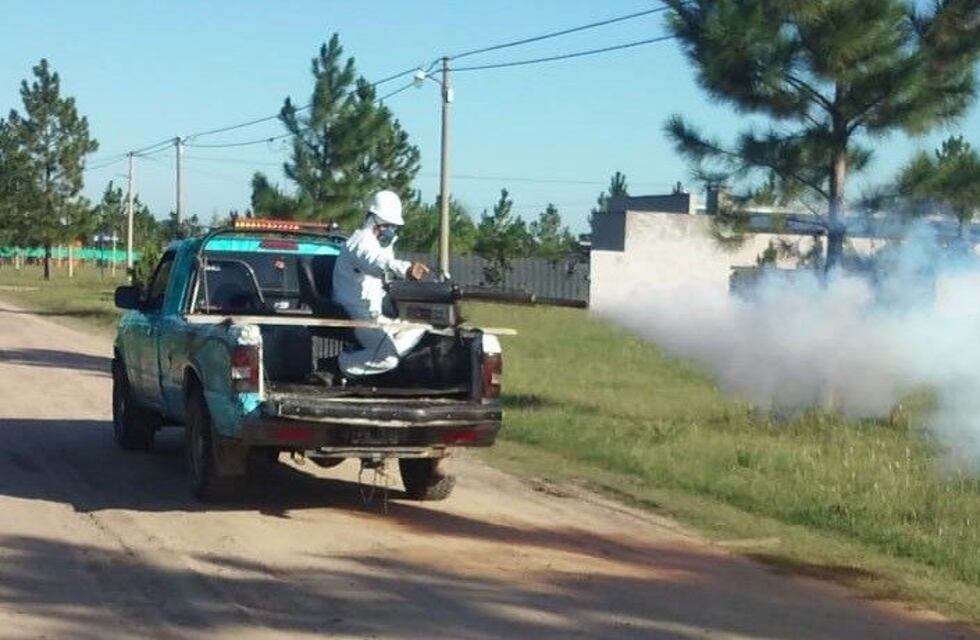 Pueblo General Belgrano acciona para frenar la invasión de mosquitos
