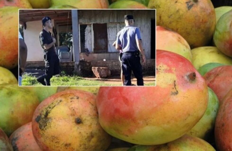 La  policía hizo un operativo para recuperar mangos robados
