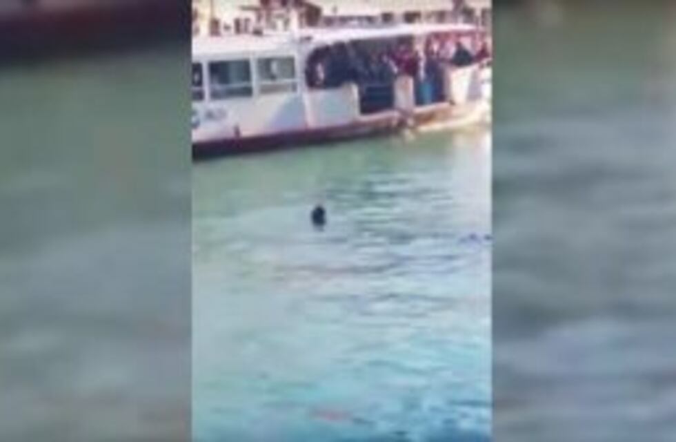 Venecia: filmaron cómo se ahoga un inmigrante mientras lo insultaban