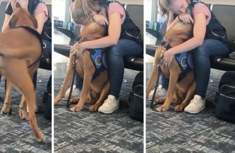 Una mujer que sufría un ataque de pánico fue asistida por su perro